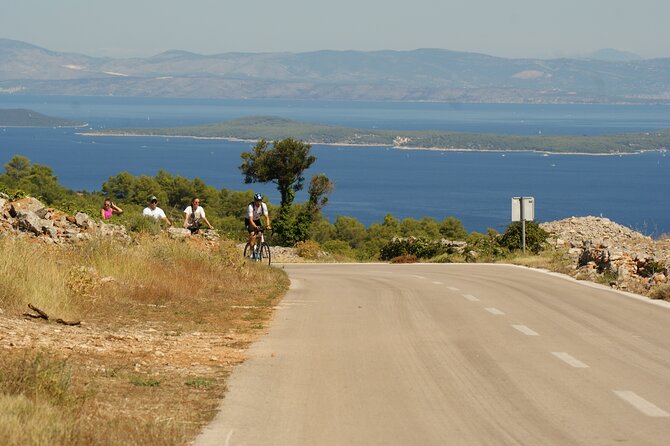 Private Hvar Island E-Bike Tour - Participant Feedback and Ratings