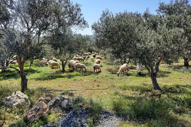 PRIVATE Jeep Safari 4x4 SUNSET With Dinner Area Hersonissos CRETE - Sunset Viewpoint and Dinner