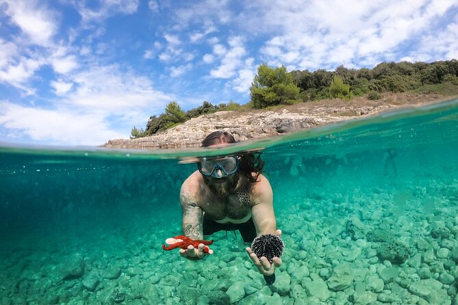 Private Kayak Tour: Explore the Caves and Turquoise Bays in Pula - Exploring the Bays and Caves