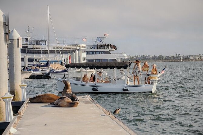 Private Luxury E-Boat Cruise With Wine, Charcuterie & Sea Lions Spotting - Exploring the Scenic Santa Monica