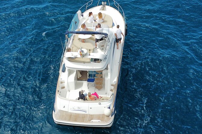 Private Luxury Motor Boat 2, 3 and 4 Hour Charters - Marine Life and Activities
