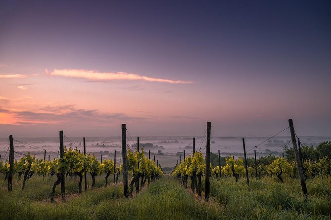 Private Niagara Falls-Niagara-On-The-Lake Day Trip and Winery Tour From Toronto - Sampling Niagara Wine Country