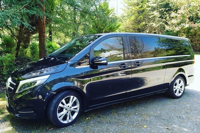 PRIVATE Reindeer Park Adventure by VIP Car - Reindeer Interaction Experience