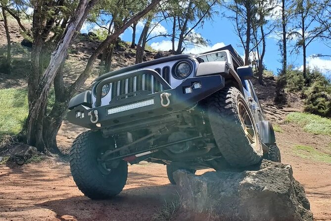 Private Rocky Coast Excursion Jeep Tour in Maui Island - What to Expect on the Tour