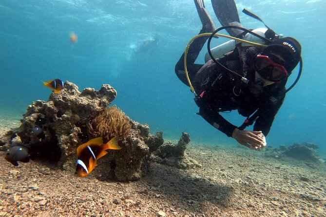 Private Scuba Diving Adventure in the Red Sea of Aqaba - Accessibility and Special Considerations