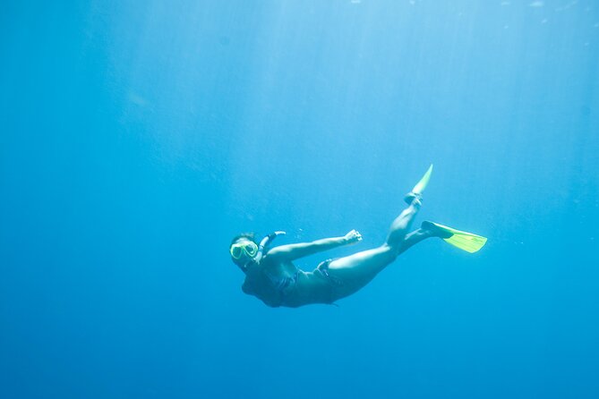 Private Snorkeling Experience in Aqaba Red Sea - Booking and Logistics for Aqaba Snorkeling