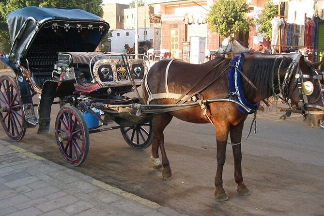 Private Sound and Light Show and Luxor City Tour by Carriage (3 * 1) - Frequently Asked Questions