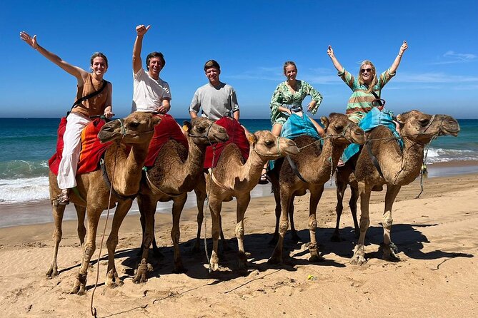 Private Tangier Tour From Ferry or Cruise Ship Including Lunch - Customer Reviews and Recommendations