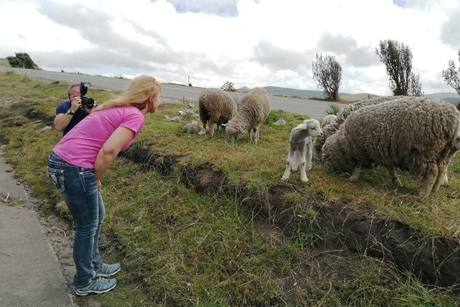 Private Tour 4-Day Trip, Cotopaxi, Quilotoa, Baños With Devil'S Nose Train Ride - Booking and Contact Information