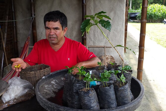 Private Tour in an Authentic, Ecological Local Coffee Finca. - Family Legacy in Coffee