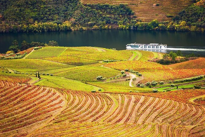 Private Tour in Douro - Frequently Asked Questions
