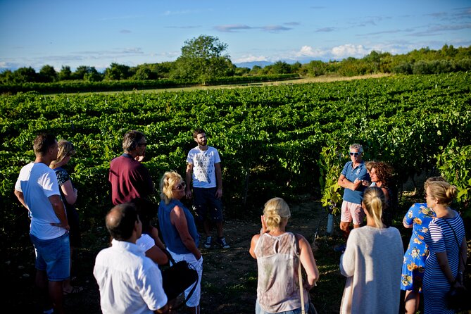 Private Tour ŠIbenik, Krka Waterfalls & Wine Tasting - Cathedral of St. James