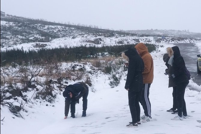 Private Tour Through Serra Da Estrela Park and Its Famous Cheese - Transportation and Convenience
