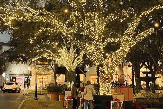 Private Tour to Christmas Winter Village, Bayshore and Hyde Park - Tips for a Great Experience