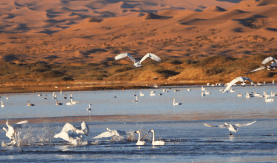 Private Tour to Pass Through Tengger Desert and Five Lakes - Exploring Ulan Lake