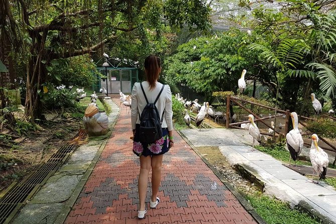 Private Tour to The Best of Animal Attractions in Kuala Lumpur - Meeting and Pickup Details
