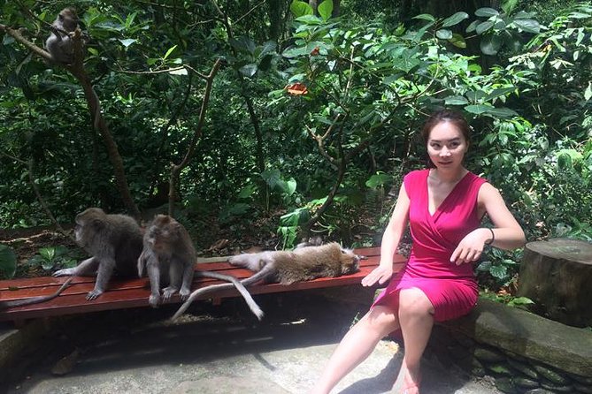Private Ubud Tour Car Charter And Customs Itinerary - Booking Your Private Tour