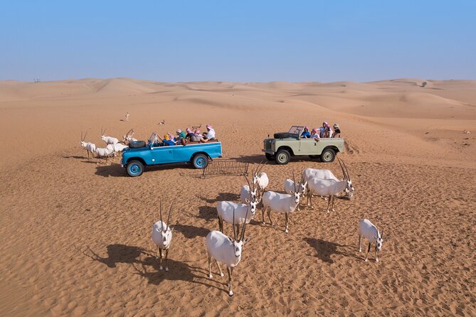 Private Vintage Land Rover Heritage Desert Safari- 4 Course Dinner & Activities - Logistics and Transportation