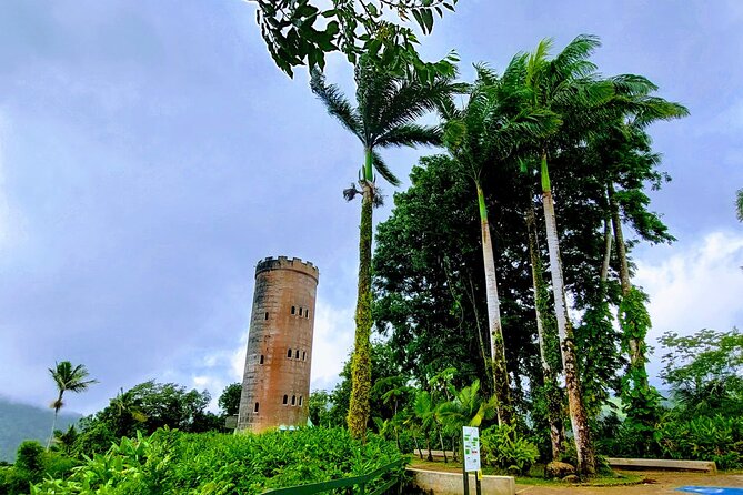 Puerto Rico: El Yunque Sightseeing Half-Day Tour With Transfer - Guided Hike and Visitor Center