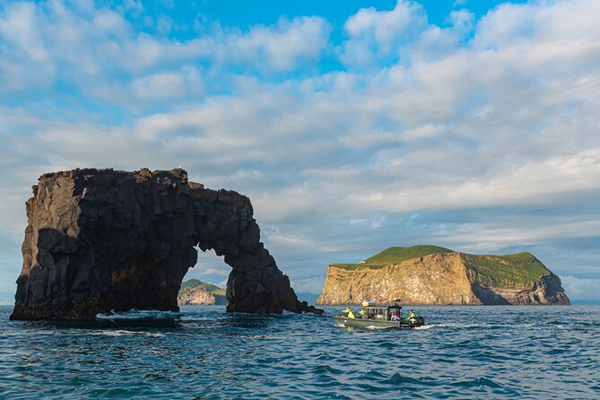 Puffin and Volcano Boat Tour Review - Why Choose This Tour
