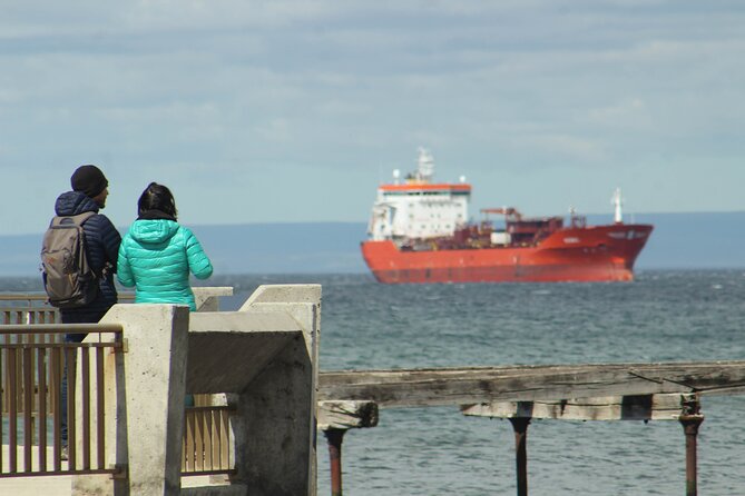 Punta Arenas Antarctic History Private City Tour - Travelers Perspectives and Feedback