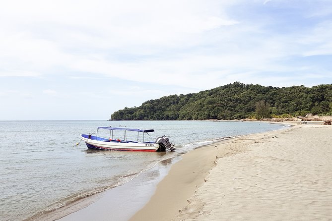 Punta Sal Tela Day Trip From San Pedro Sula - Positive Guest Feedback and Recommendations