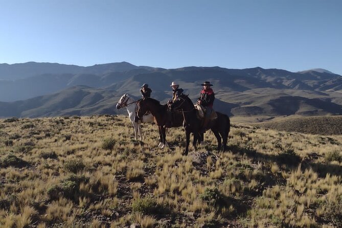 Rancho Gaucho Estate Expeditions 3 Days - Planning Your Expedition