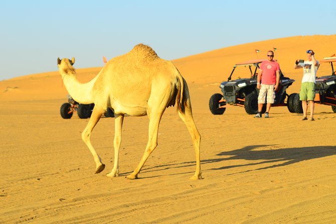 Ras Al Khaimah: Afternoon Desert Safari and BBQ Dinner - Local Attractions to Explore