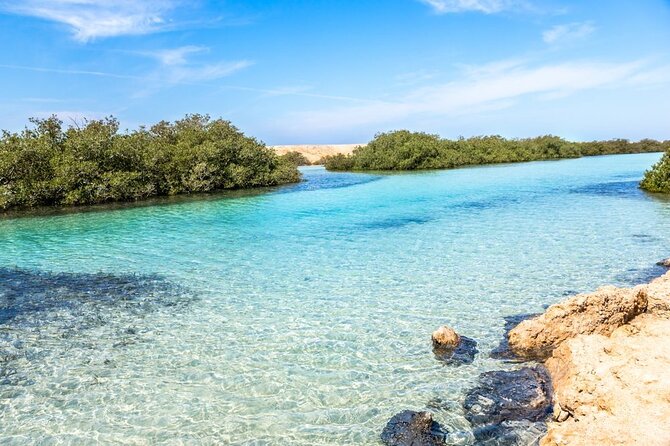 Ras Mohammed National Park Half Day Tour by Bus - Sharm El Sheikh - Booking Information
