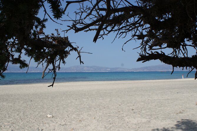 Relax in Nature - Chrissi Island Day Cruise - Traveler Feedback and Experiences