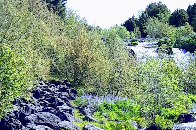 Reykjavik the Northernmost Capital in the World - Preparing for Your Reykjavik Adventure