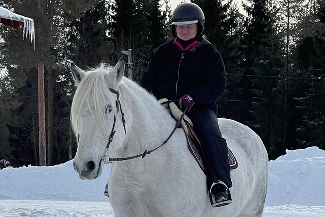 Riding Tour With Finnhorses at Santa Claus Village - Cancellation and Rescheduling Policy
