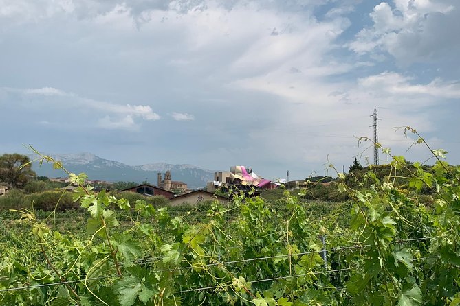 Rioja Alavesa Wineries and Medieval Villages Day Trip - Reviews and Booking Details