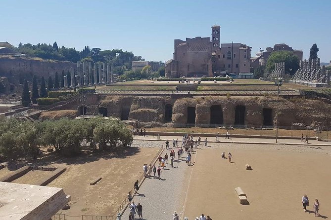 Rome: Colosseum and Vatican Museums, Semi-Private Full Day Tour - Discovering the Vatican Museums