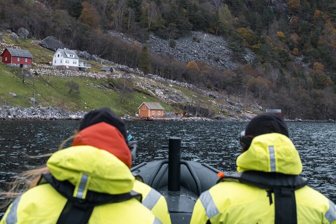 Rosendal RIB Adventure Tour Around Hardangerfjord Islands - Ask Away