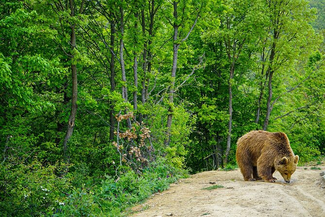 Rugova Liqenati Lake Private Hiking Tour  - Pristina - Cancellation and Refund Policy