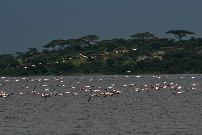 Safari Serengeti And Ngorongoro - Important Considerations