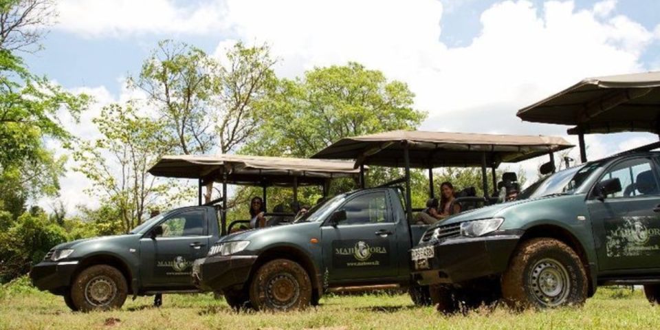 Safari Serenity: Exclusive Wilpattu National Park Adventure - Important Considerations and Recommendations