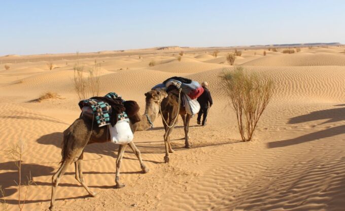 Sahara Desert: 2-Day Tour With Food and a Night in a Tent - Payment and Reservation