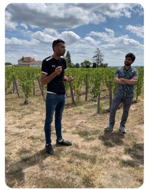 Saint-Émilion: Family Vineyard Visit With Wine Tasting - Frequently Asked Questions