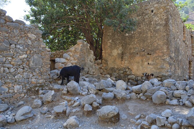 Samaria Gorge From Chania - Booking Information and Logistics