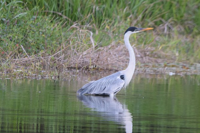 Sandoval Lake and Tambopata National Reserve - Sustainable Tourism
