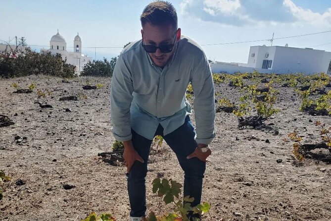 Santorini Wine Tasting: Private Tour With a Certified Wine Guide - Transportation and Location Details