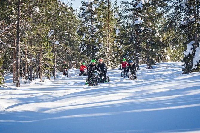 Scenic Electric Fat Bike Group Ride in Rovaniemi - Intimate Small-Group Atmosphere