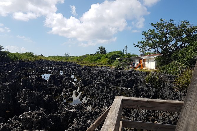 Scenic Island Private Tour - Pickup and Transportation