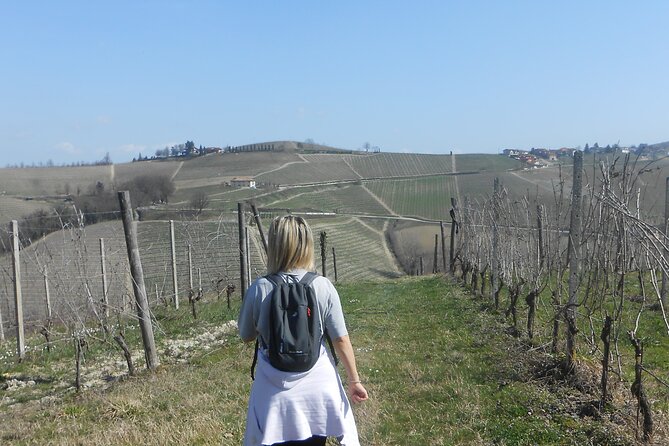 Scenic Langhe Hike and Wine Tasting From Alba  - Langhe-Roero and Monferrato - The Sum Up