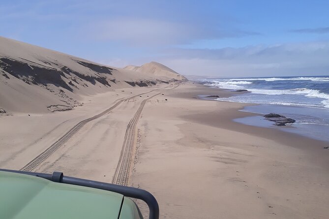 Scenic Sandwich Harbour Tour - Booking and Cancellation Policies