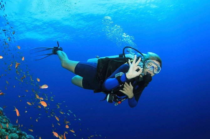 Scuba Diving From Marmaris Area - Equipment and Gear Selection