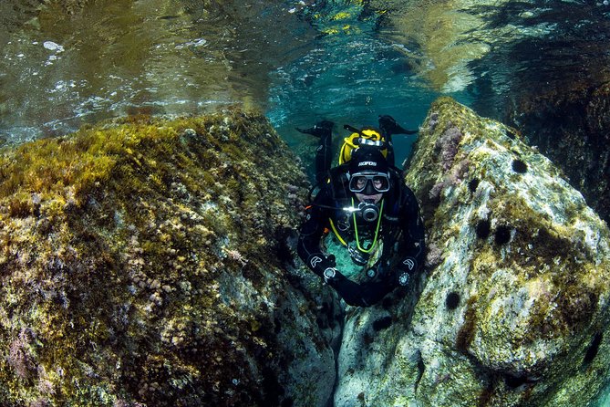 Scuba Diving in Calabria, Italy - Traveler Ratings and Reviews