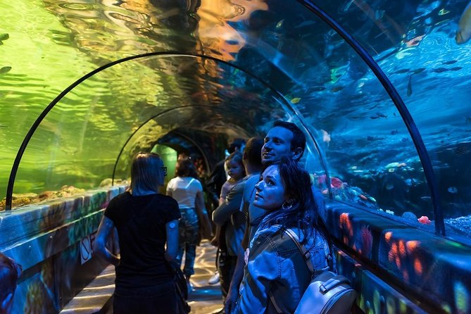 SEA LIFE Brighton Admission Ticket - Getting to Sea Life Brighton